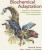 Biochemical Adaptation - Bradley Somer