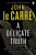 A Delicate Truth - John le Carré