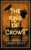 The King of Crows: Number 4 in the Diviners series - Libba Bray