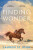 Finding Wonder - Lauren St Johnová