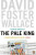 The Pale King - David Foster Wallace
