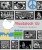 Woodstock ´69 - Ernesto Assante