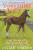 Adventures with a Yorkshire Vet: The Lucky Foal and Other Animal Tales - Julian Norton
