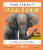 African Elephant (Young Zoologist) - Neon Squid,Festus W. Ihwagi