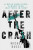 After the Crash - Michel Bussi