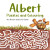 Albert Puzzles and Colouring - Ian Brown,Eoin Clarke