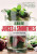Alkaline Juices and Smoothies - Stephan Domenig
