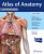 Atlas of Anatomy, Latin Nomenclature - Erik Schulte,Udo Schumacher,Michael Schuenke,Anne M Gilroy,Jamie Wikenheiser,Brian R MacPherson