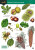 Autumn fruits and seeds - Rebecca Farley-Brown,Simon Norman