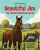 Beautiful Jim - Jodie Parachini