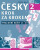 New Czech Step-by-Step 2. Workbook 2 - lessons 11-20 - Zdena Malá,Martin Hron