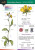 Describing Flowers - John Bebbington,Anne Bebbington