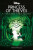 Disney Robin Hood: Princess of Thieves - Mari Mancusi
