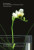 Disorientation â€“ Bernard Rudofsky in the Empire of Signs - Felicity D. Scott