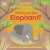 Eco Baby Where Are You Elephant? - DK