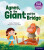 Essential Letters and Sounds: Essential Phonic Readers: Oxford Reading Level 6: Agnes, the Giant and the Bridge - Ian MacDonald