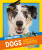 Everything: Dogs - National National Geographic Kids