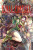 Final Fantasy Lost Stranger, Vol. 9 - Hazuki Minase,Bianca Pistillo,Melody Pan,Itsuki Kameya