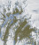 footprints - Es Lv