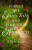 Forget the Fairy Tale and Find Your Happiness - Deb Miller