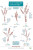 Guide to British bird tracks and signs - Dan Puplett
