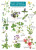 Guide to flowers of walks and waysides - Rebecca Farley-Brown