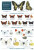 Guide to the butterflies of Britain and Ireland - John Bebbington