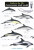 Guide to the UK Cetaceans and Seals - Mark Peter Simmonds