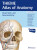 Head, Neck, and Neuroanatomy (THIEME Atlas of Anatomy) - Erik Schulte,Udo Schumacher,Michael Schuenke,Cristian Stefan