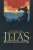 Ilias -  Homér