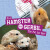 Is a Hamster or a Gerbil the Pet for Me? - Mari Schuh
