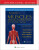 Kendall's Muscles - Brian Murray,Quinn Alexopulos,Jordan McCreary,Dr. Vincent M., PT, DScPT Conroy