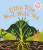Little Tree and the Wood Wide Web - Lucy Brownridge