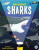 Magic Searchlight - Sharks - Kit Elliot
