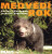 Medvědí rok - Václav Chaloupek,Jaroslav Vogeltanz