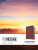 Message Large Print (Leather-Look, Burgundy) - Eugene H. Peterson