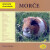 Morče - Abeceda chovatele - Nataša Velenská