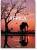 National Geographic: Africa -Around the World in 125 Years - Reuel Golden,Joe Yogerst