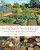 No Dig Organic Home & Garden - Charles Dowding,Stephanie Hafferty