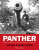Panther - Německý pokus o získání převahy na bojišti - Michael Green,Gladys Green
