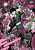 Phantom Tales of the Night, Vol. 2 - Julie Goniwich,Matsuri Matsuri