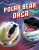 Polar Bear vs Orca - Lisa M. Bolt Simons