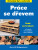 Práce se dřevem - Alan Bridgewater,Gill Bridgewater