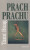 Prach prachu - Tami Hoag
