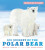 Protecting the Planet: Ice Journey of the Polar Bear - Jenkins Martin