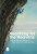 Reaching for the Heavens - Adin Steinsaltz