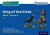 Read Write Inc. Phonics: King of the Birds (Blue Set 6 Storybook 4) - Gill Munton