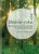Shinrin-yoku: The Japanese Way of Forest Bathing for Health and Relaxation - Miyazaki