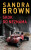 Skok do neznáma - Sandra Brown