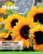 Studio AQA GCSE French Foundation Student Book - Clive Bell,Gill Ramage,Anneli Mclachlan